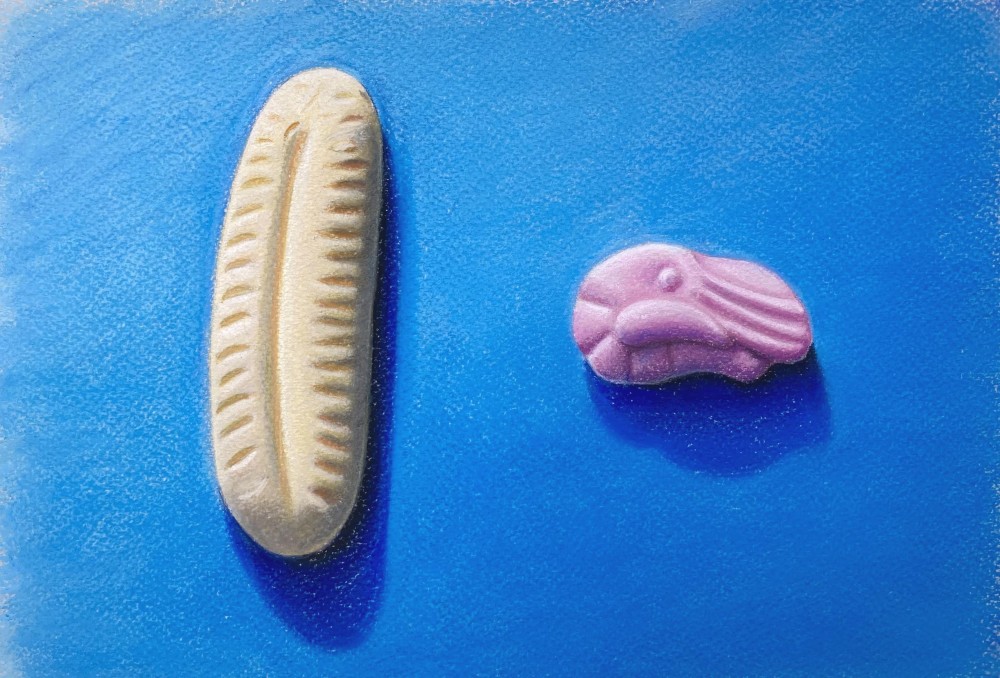 Banana and Shrimp - Original Pastel