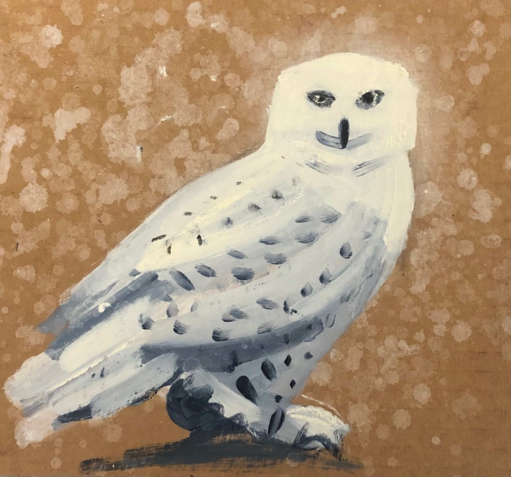 Snowy Owl 10
