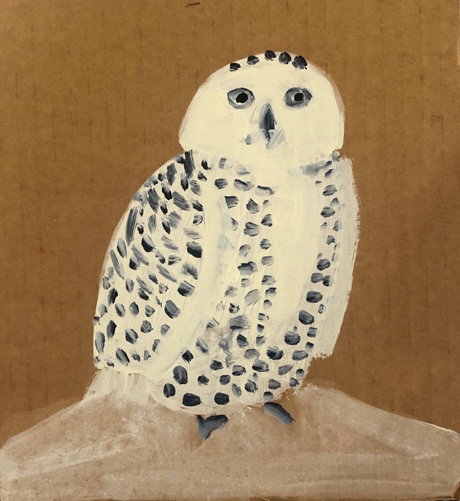 Snowy Owl 4